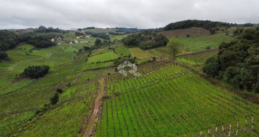 Área de terra na linha leopoldina vale dos vinhedos