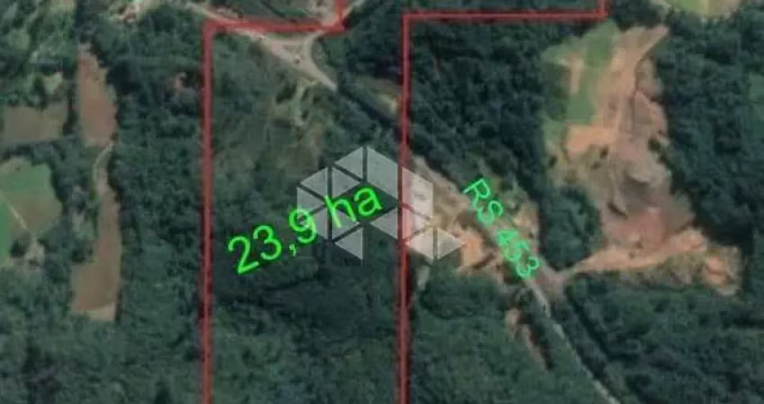 Terreno à venda na Área Rural, 453, Zona Rural, Farroupilha
