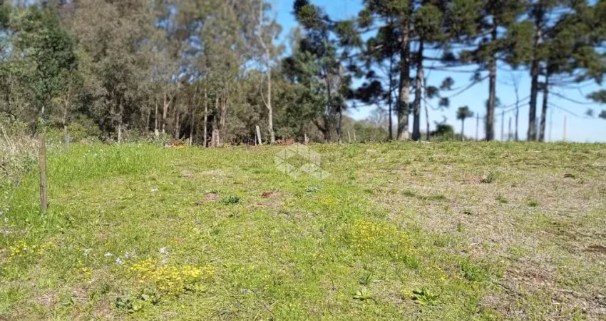 Vende-se encantadora propriedade onde cantam os pássaros, ao amanhecer. sítio, a 20 minutos do centro de bento gonçalves, rio grande do sul.