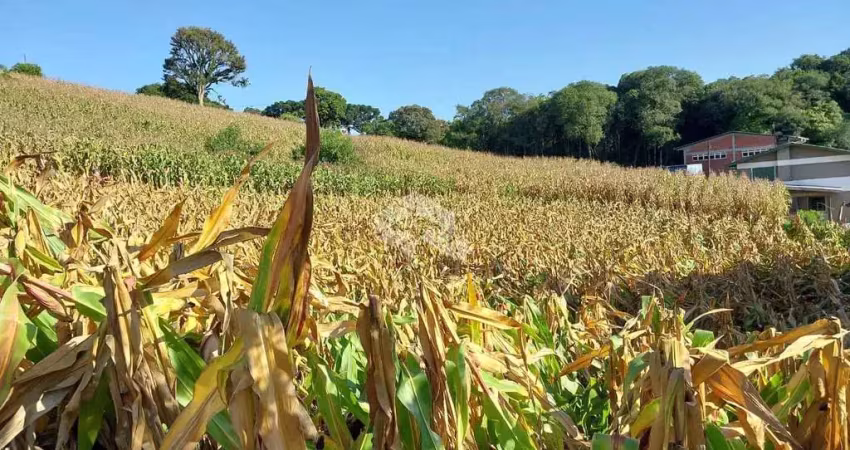 Terreno à venda na João Baptista Madiero, 3, Garibaldina, Garibaldi