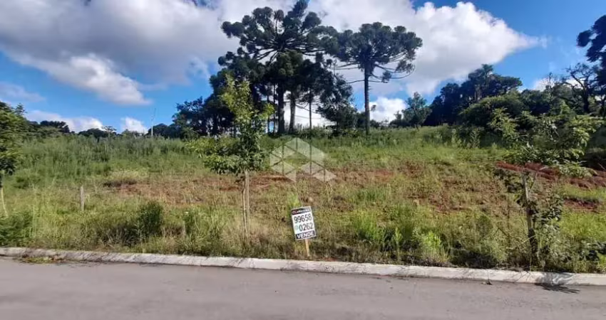 Terreno à venda na Rua Félix Roman, 5556, São Valentin, Bento Gonçalves
