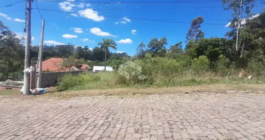 Terreno envolto a natureza, para quem gosta de gosta de paz e tranquilidade!