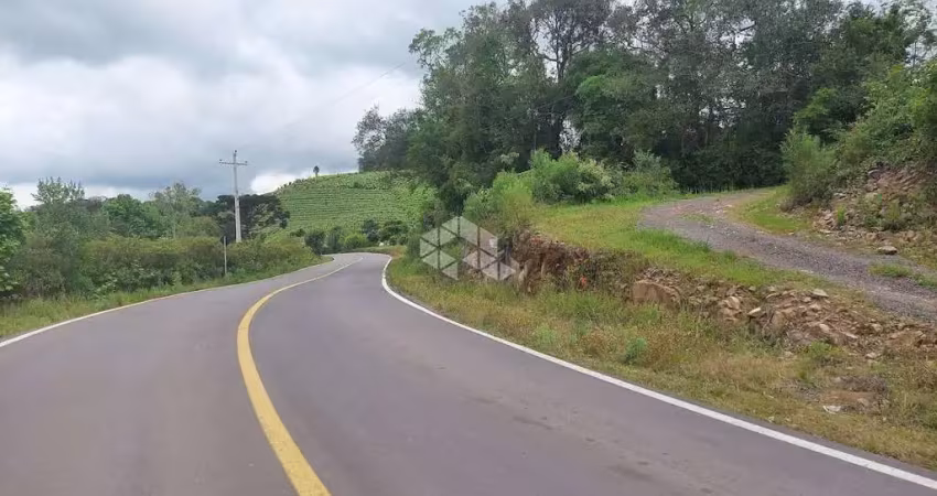Chácara / sítio à venda na Linha Armênio, 30, Zona Rural, Monte Belo do Sul