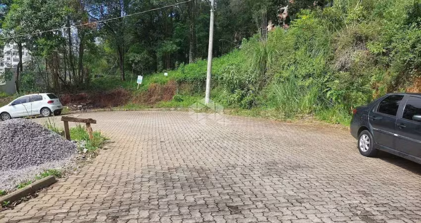 Terreno à venda na Rua Elizeu Grasselli, 13, Borgo, Bento Gonçalves