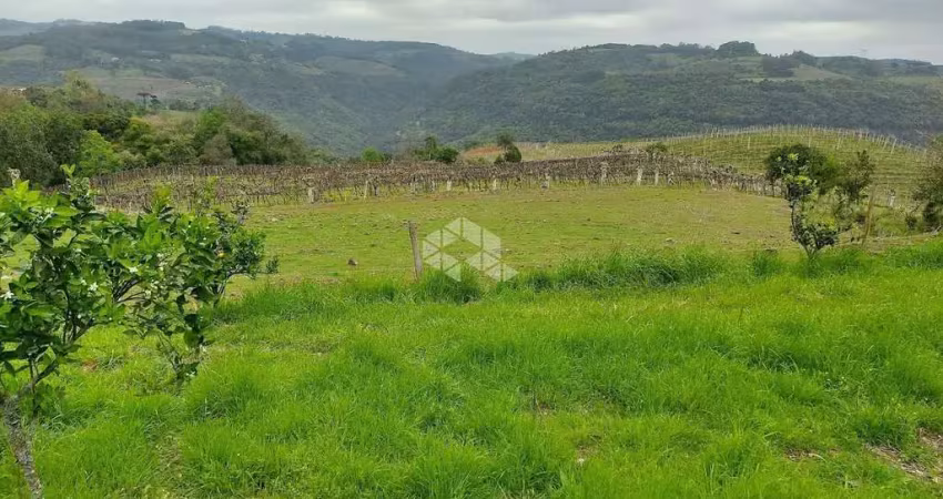 Chácara / sítio com 1 quarto à venda na Linha Argemiro, 41, Centro, Monte Belo do Sul