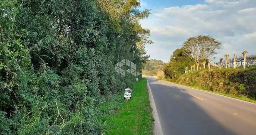Terreno bem localizado na via principal 444 do vale dos vinhedos
