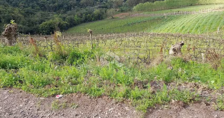 Chácara / sítio à venda na Rsc 444, 20, Vale dos Vinhedos (Distrito), Bento Gonçalves