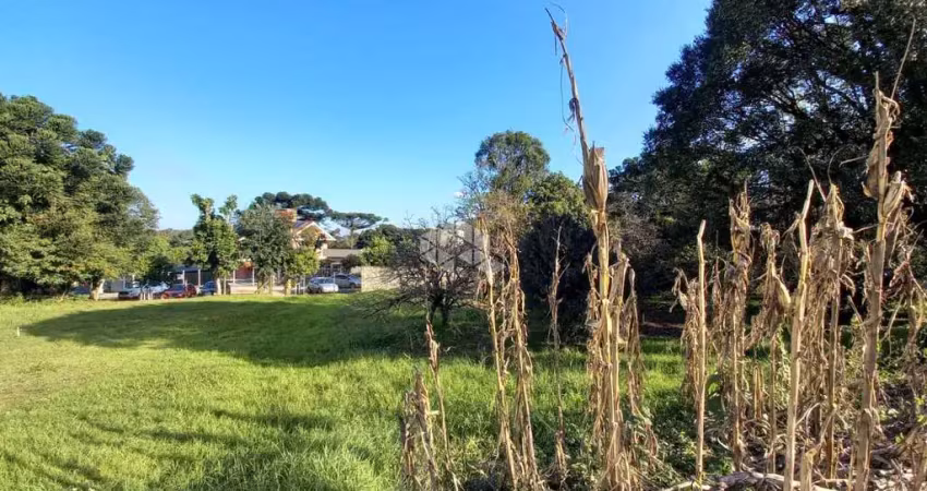 Terreno à venda na João Missagia, 37, São Roque, Bento Gonçalves