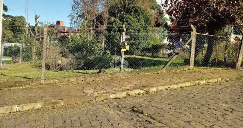 Terreno à venda na Bortolo Accorsi, 299, São Roque, Bento Gonçalves