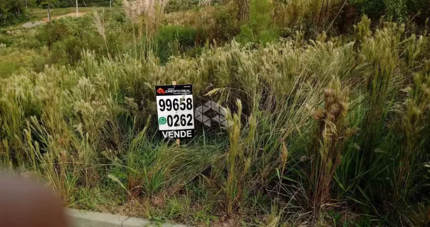 Terreno à venda na Linha Palmeiro - Quadra C, 47, São Pedro, Bento Gonçalves