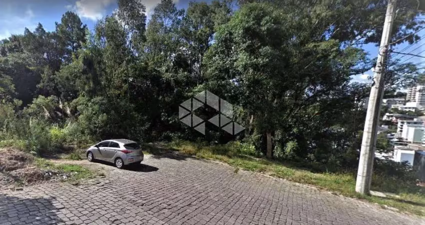 Terreno à venda na Armindo Schenatto, 206, Humaitá, Bento Gonçalves