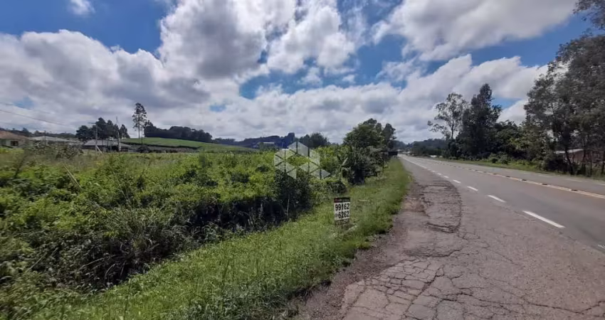 Terreno com excelente frente para rs-453. plano, sem mata, ideal para construção de pavilhões.
