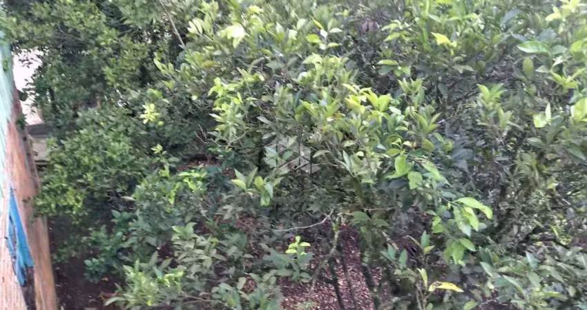 Terreno à venda na Rua Marcos Nardon, 173, Fenavinho, Bento Gonçalves