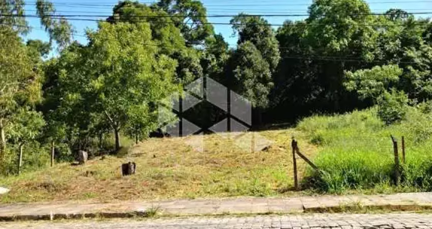 Terreno à venda na Julieta Sassi Dreher, 598, Vinhedos, Bento Gonçalves