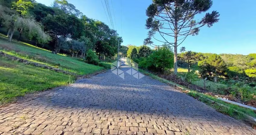 Chácara / sítio à venda na Rs444, 10, Vale dos Vinhedos (Distrito), Bento Gonçalves