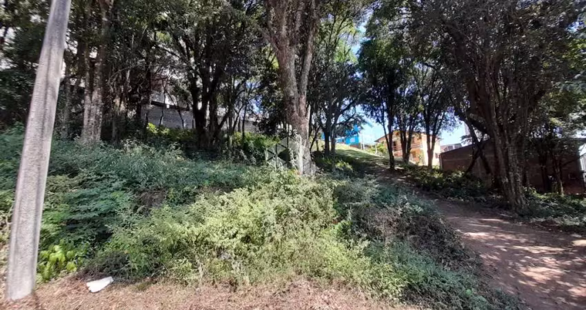 Terreno à venda na Alameda do Bosque, 21, Borgo, Bento Gonçalves