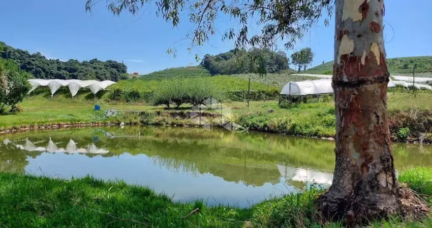 Chácara / sítio à venda na Caminhos de Pedra, 10, Zona Rural, Bento Gonçalves