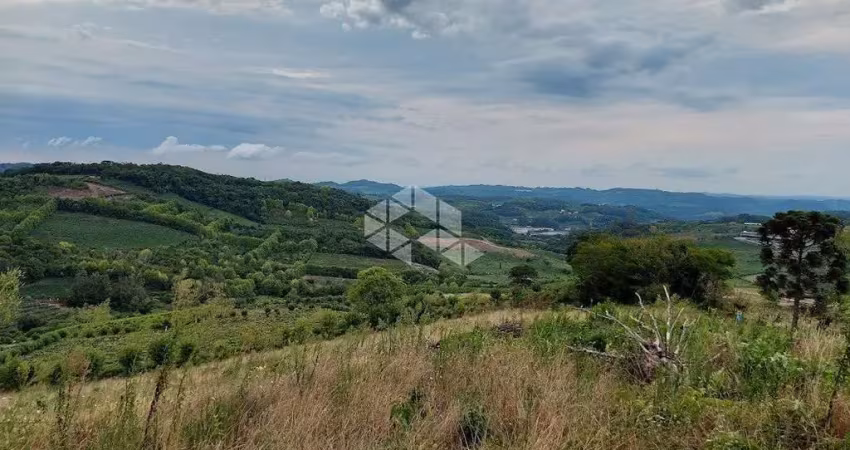 Linda área rural, de aproximadamente 5 hectares  no 8 da graciema