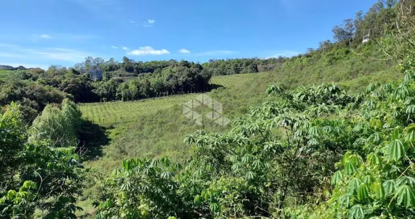 Chácara / sítio vale dos vinhedos monte belo do sul