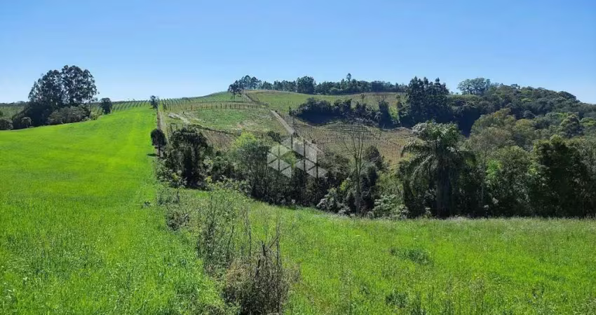 Chácara / sítio à venda na São Jorge, 1, Zona Rural, Garibaldi