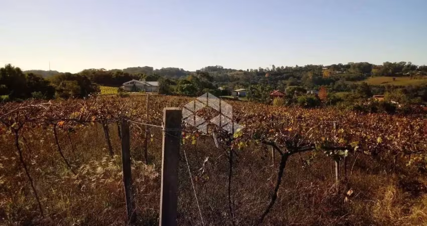 Chácara / sítio com 1 quarto à venda na Br-470  Km 208, 1, São Valentin, Bento Gonçalves