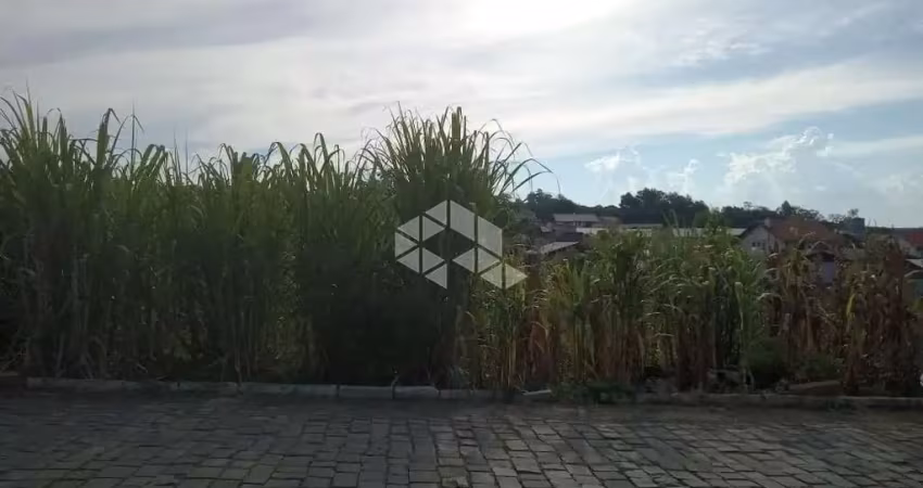 Terreno à venda na Padre Luiz Segale, 1, Centro, Pinto Bandeira