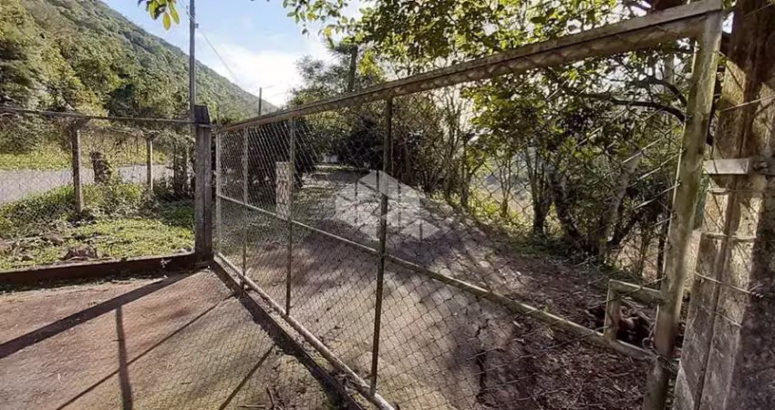 Chácara / sítio com 3 quartos à venda na Rural, 470, Linha Alcântara, Bento Gonçalves