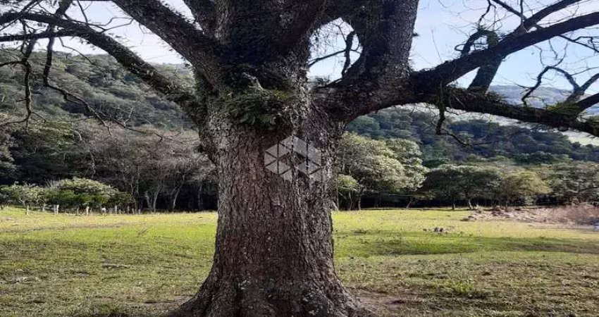 Chácara / sítio com 2 quartos à venda na RST 431, 11, Linha Alcântara, Bento Gonçalves