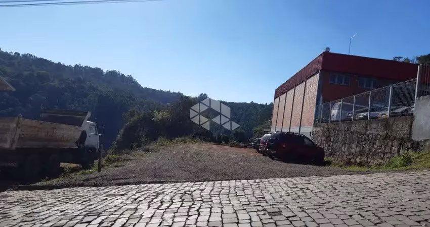 Terreno à venda na Rua Maximino Tranquilo Bortolini, 214, Vinhedos, Bento Gonçalves