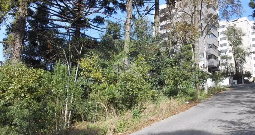 Terreno à venda na Alameda Das Araucárias, 3, Borgo, Bento Gonçalves