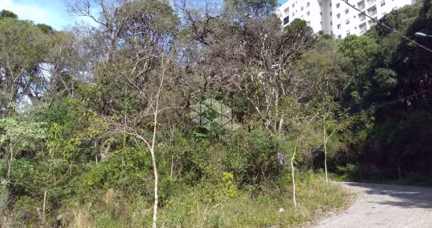 Terreno à venda na Alameda Das Araucárias, 52, Borgo, Bento Gonçalves