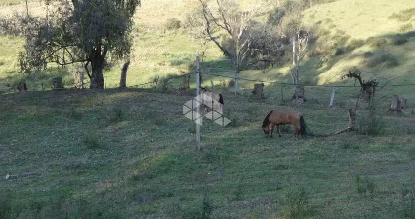 Chácara/ sítio área rural de 100.000m²,  carlos barbosa