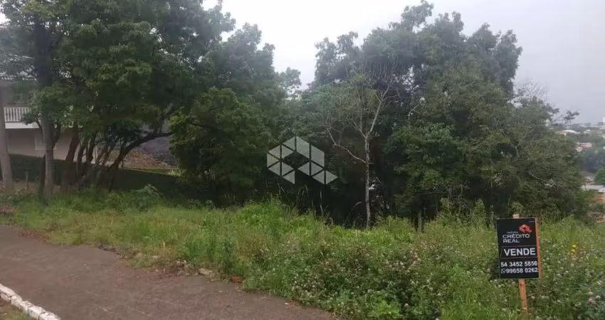 Terreno à venda na Ulysses de Gasperi, 58, Santo Antão, Bento Gonçalves