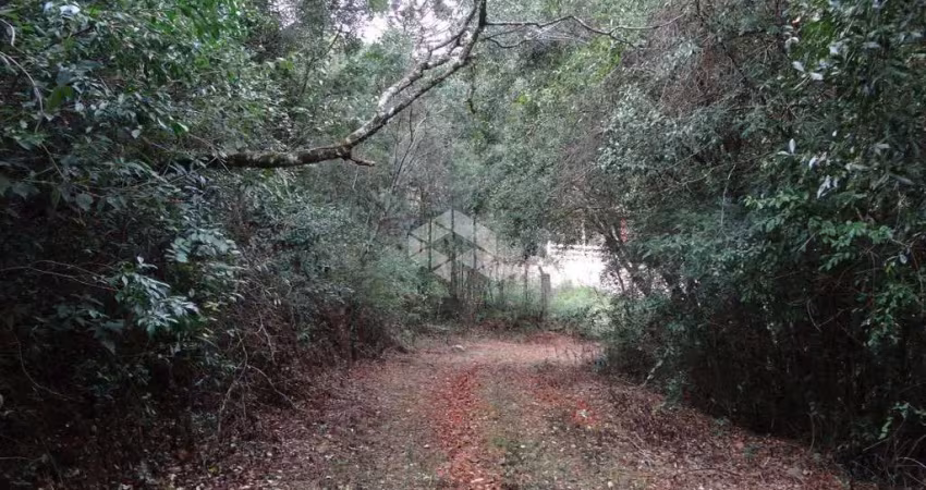 Terreno à venda na Tentro, s/n, 1, Vale dos Vinhedos (Distrito), Bento Gonçalves