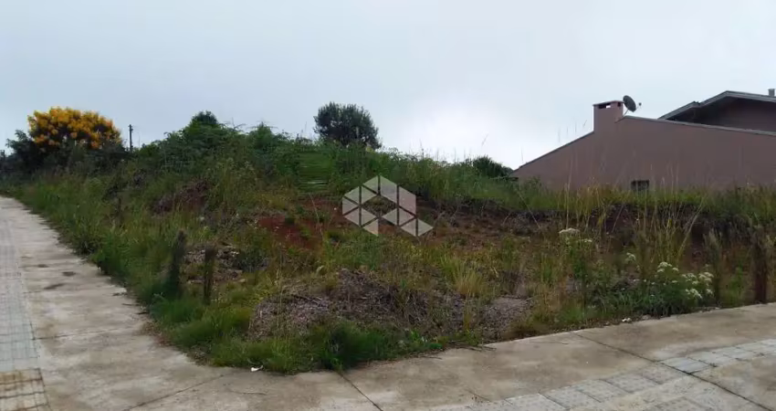 Terreno frente para rodovia rota do sol (rs 453) com 450 m².