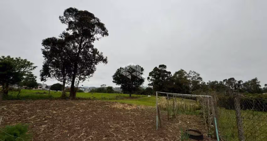 Terreno à venda na Castelo Branco, 269, Planalto, Carlos Barbosa