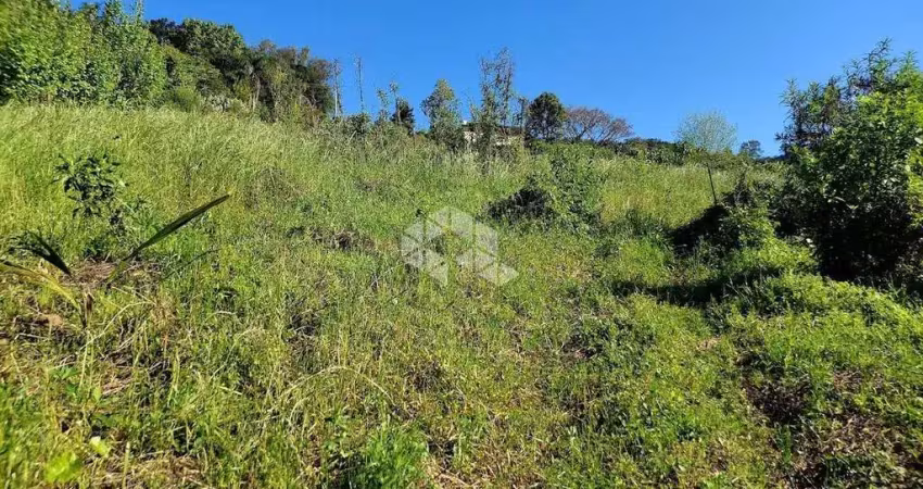 Sítio na rs 444 linha 100 da leopoldina monte belo do sul