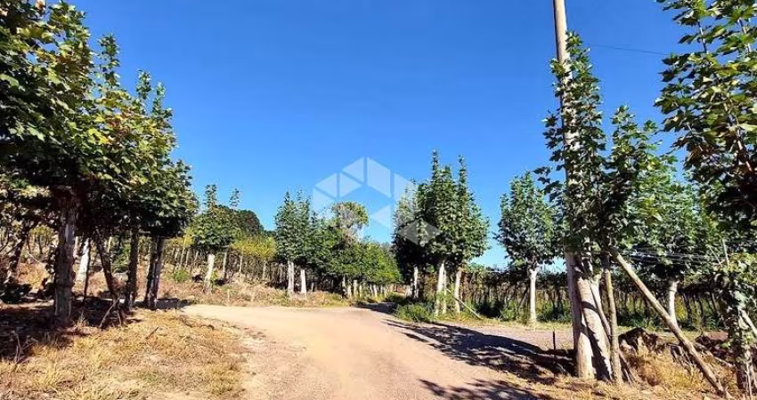Sítio no alto do Vale dos Vinhedos
