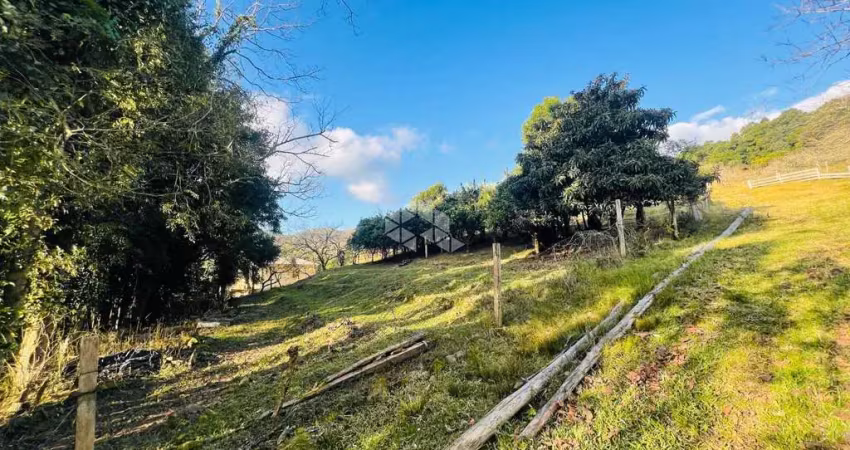 Terreno à venda na Vrs 855 Linha Palmeiro, 119, São Pedro, Bento Gonçalves