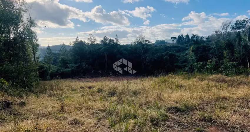 Terreno à venda na Vrs 855 Linha Palmeiro, 120, São Pedro, Bento Gonçalves