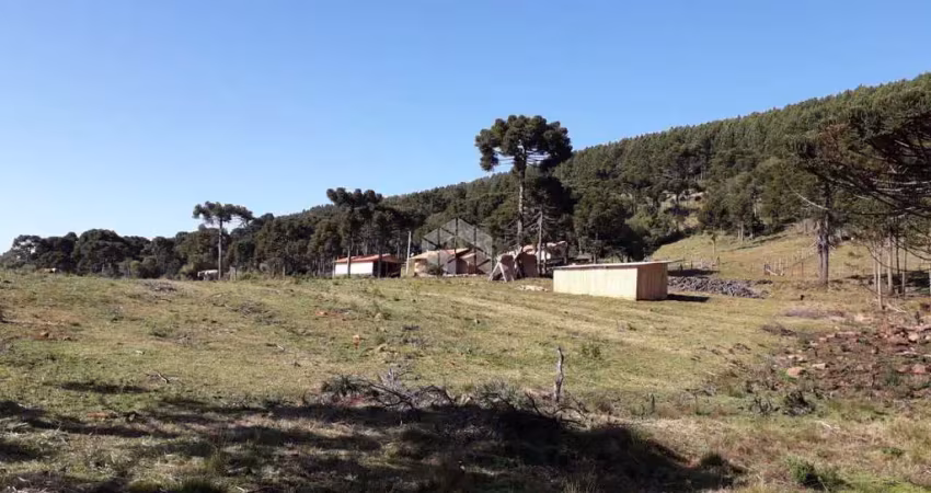 Chácara / sítio com 5 quartos à venda na Arthur Pagani, 40, 1, Centro, Urupema