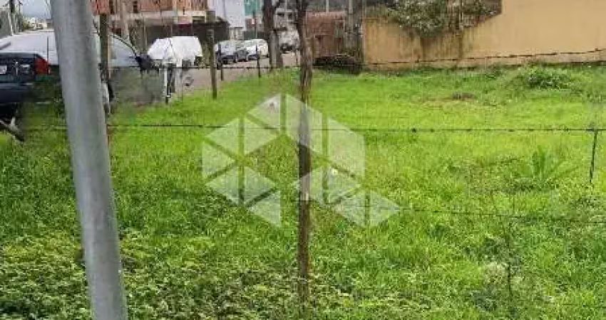 Terreno de esquina à venda localizado na faixa nova em camobi, santa maria