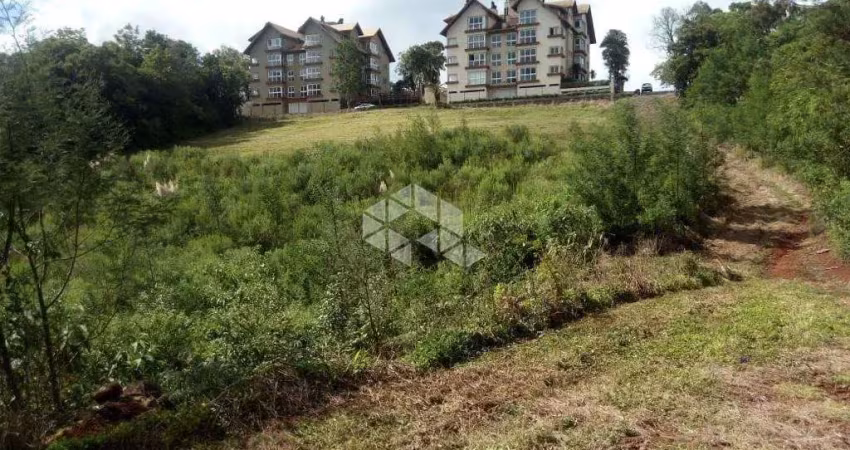 Chácara / sítio à venda na Renato Dienstmann, 1, Carazal, Gramado