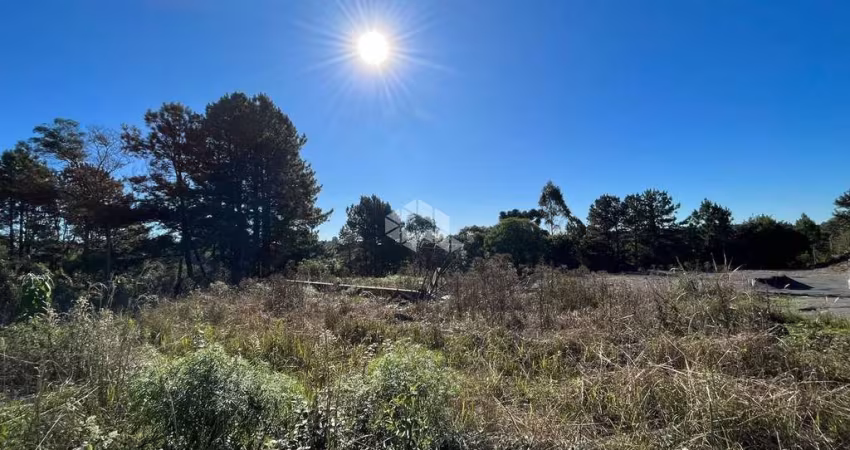 Área de investimento na Principal Avenida de Gramado e Canela
