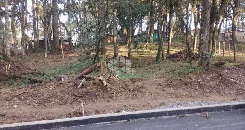 Terreno 427,67m²,  localizado no bairro são luis , canela