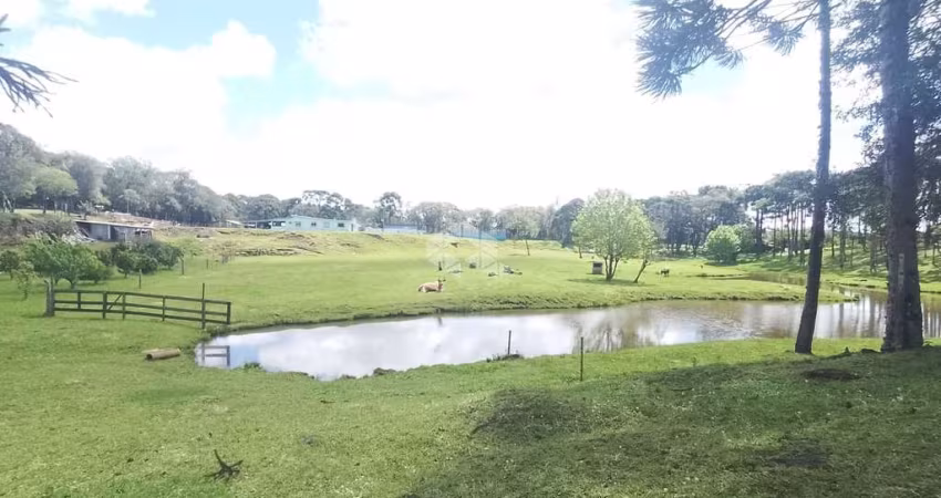 Terreno a venda com potêncial para Sítio em Canela