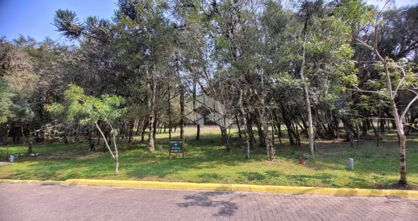 Terreno em condomínio fechado em Canela