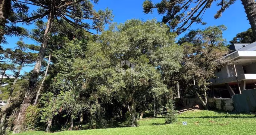 Terreno em Condomínio fechado no centro de Canela