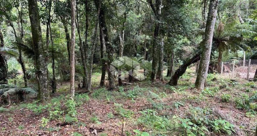 Terreno a venda em Gramado