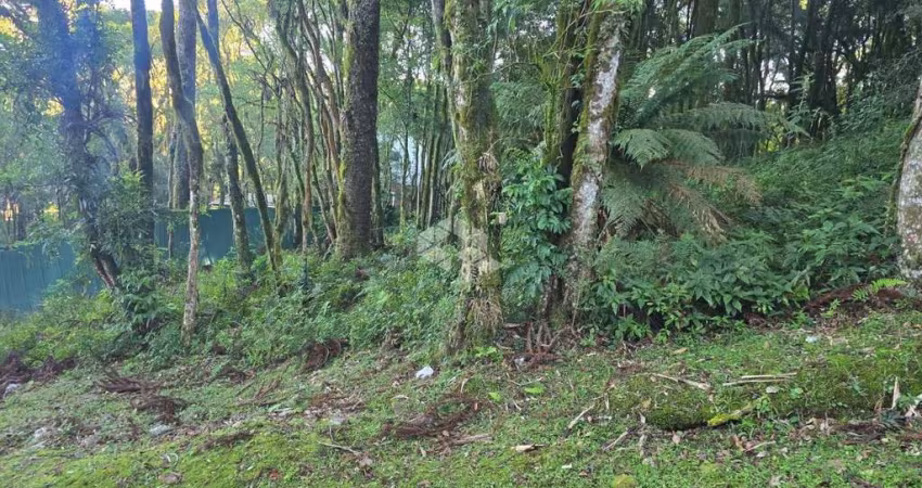 terreno de 995m²  Pinheirro Grosso em Canela